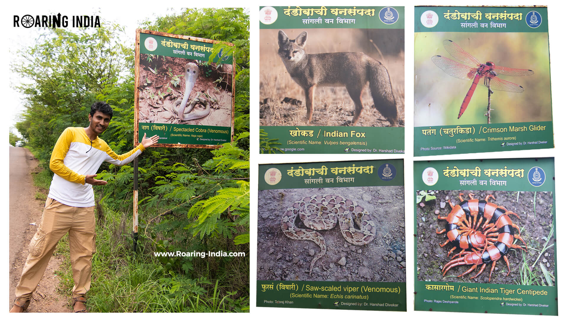 Dandoba Hills Forest Reserve Miraj, Sangli Maharashtra - Roaring India ...